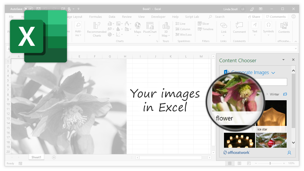 Content Chooser for Office, Excel